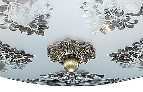Накладной светильник Odeon Light Aspena 2776/6C