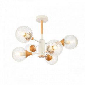 Люстра на штанге EVOLUCE Lione SLE109502-06