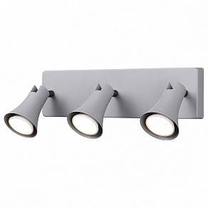 Спот Odeon Light Reanna 3825/3W