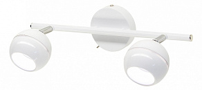 Спот Citilux Раймонд CL555520