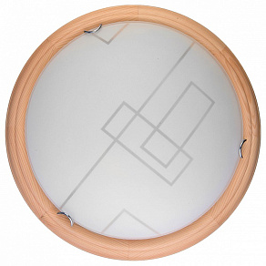 Накладной светильник TopLight Debora TL9540Y-00PN