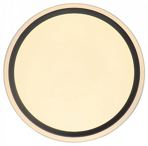 Накладной светильник Zortes BELLA ZRS.1201.04