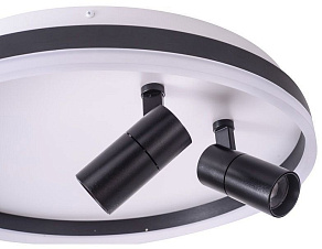 Накладной светильник Zortes Raizy ZRS.1888.01