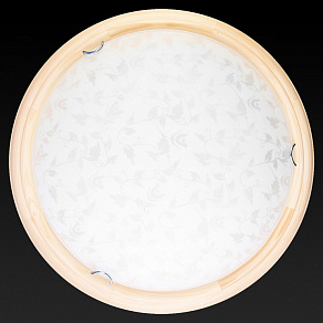 Накладной светильник TopLight Beatrice TL9280Y-00PN