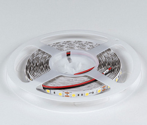 Лента светодиодная DesignLed DSG560 00-00000513