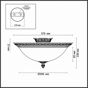 Накладной светильник Odeon Light Maipa 2587/3C