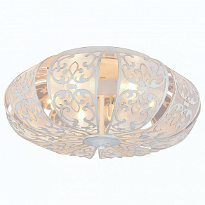 Накладной светильник Arte Lamp 5116 A5116PL-6WG