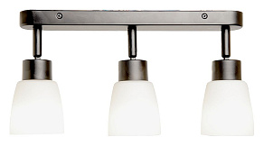 Спот Feron Barre 41516