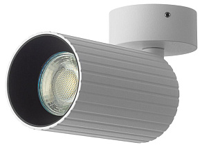 Светильник на штанге Citilux AXEL CL512210R
