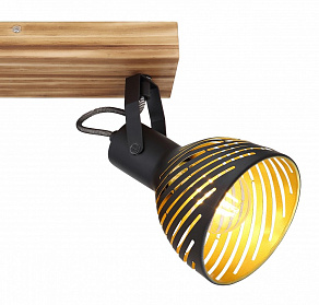 Спот Globo Lenna 54660-2