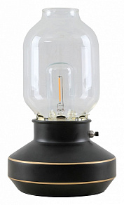 Настольная лампа декоративная Lussole Anchorage LSP-0569