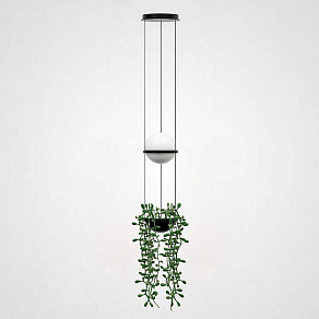 Подвесной светильник Imperiumloft Palma Wall Lamp 22.93727