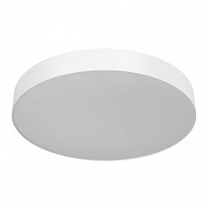 Накладной светильник Citilux BART CL755490