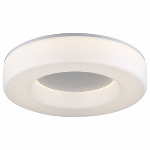 Накладной светильник ST-Luce Lordin SL886.512.01_LED