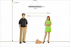 Подвесной светильник Chiaro Гослар 5 498012801