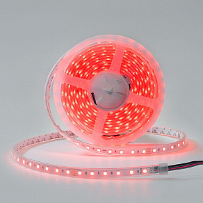 Лента светодиодная DesignLed DSG560 00-00003351