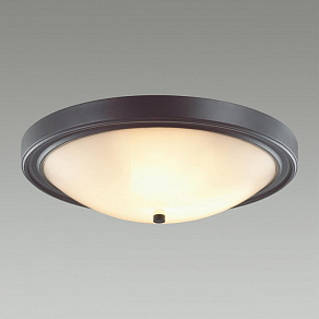 Накладной светильник Lumion Nina 5260/4C