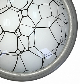 Накладной светильник TopLight Ophelia TL1125-1Y