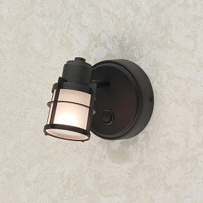 Спот Citilux Реймс CL563511