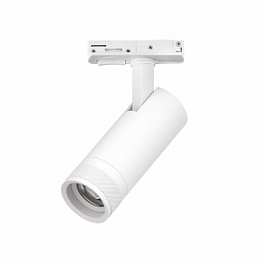 Светильник на штанге Lightstar Canno Pro C4126SS