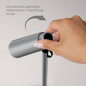 Настольная лампа офисная Elektrostandard Joel TL70190