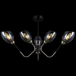 Люстра на штанге ILLUMICO  IL9960-6CSQ-79 BK AB