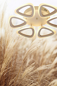 Потолочная люстра De City Мадлен 3 424013006