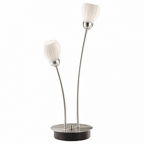 Настольная лампа декоративная Odeon Light Akron 2469/2T