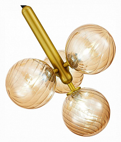 Подвесная люстра EVOLUCE Salerno SLE220323-04