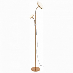 Торшер с подсветкой ST-Luce Pratico SLE120.205.02