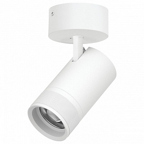 Спот Lightstar Canno Pro C4406SO