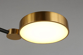 Потолочная люстра Aployt Ines APL.043.07.50