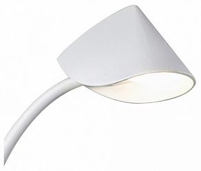 Настольная лампа офисная Mantra Capuccina 7576