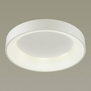 Накладной светильник Odeon Light Sole 4062/40CL