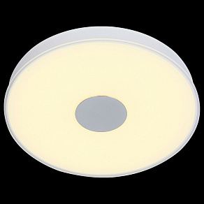 Накладной светильник ST-Luce Semplicita SL473.502.01