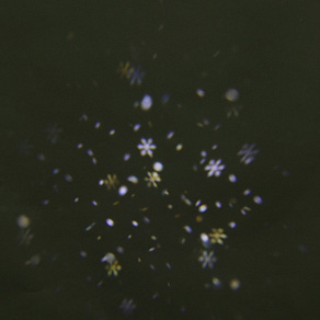 Настенный прожектор Sneha  00328-0.2-01