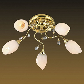 Потолочная люстра Odeon Light Fiera 1604/5