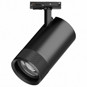 Светильник на штанге Lightstar Canno Pro C4407SS