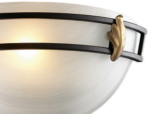Накладной светильник Odeon Light Osorno 2664/1W