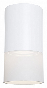 Накладной светильник Maytoni Pauline C007CW-01W