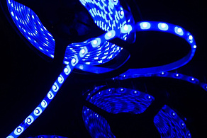 Лента светодиодная SWG SWG360 SWG360-12-4.8-B-65-M