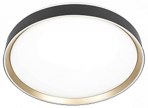 Накладной светильник Citilux BOSS CL751451G