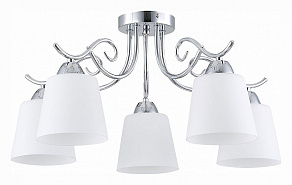 Потолочная люстра EVOLUCE Liada SLE103902-05