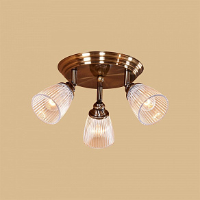 Спот Citilux Виндзор CL539631