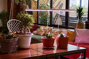 Светильник для растений Uniel ULI-P UL-00010527