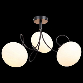 Потолочная люстра EVOLUCE Acini SL717.402.03