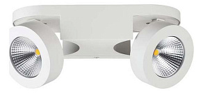 Спот Odeon Light Laconis 3538/2WL