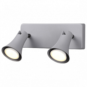 Спот Odeon Light Reanna 3825/2W