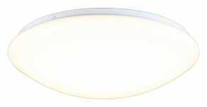 Накладной светильник Omnilux Berkeley OML-43007-40