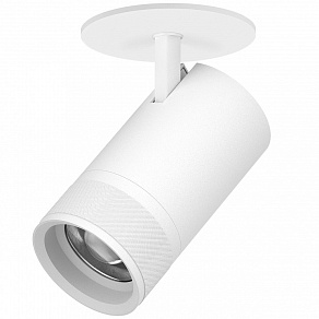 Спот Lightstar Canno Pro C4406RS